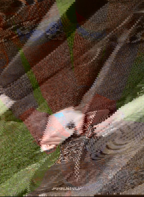 Leggur - Lopidesign